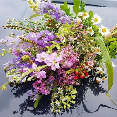 38479578_854268218102179_3899463613345169408_n